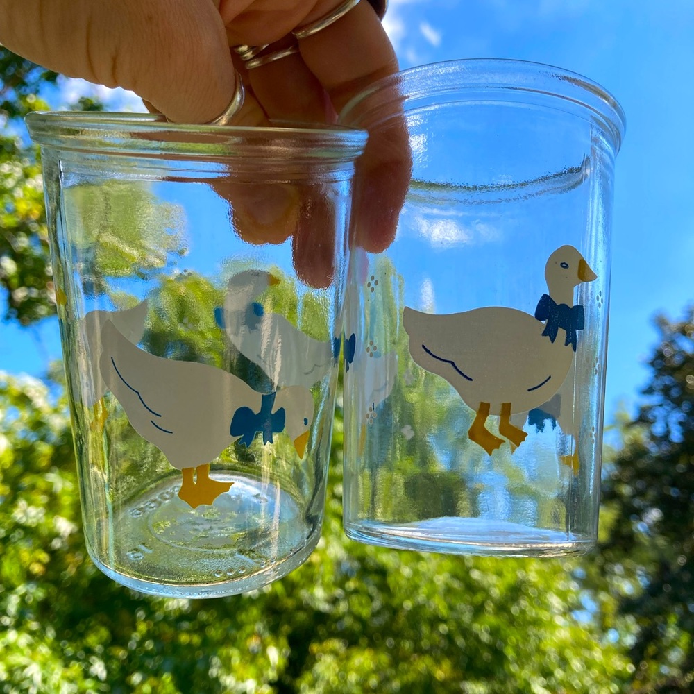 Vintage Cottagecore Juice Glass Set of 4